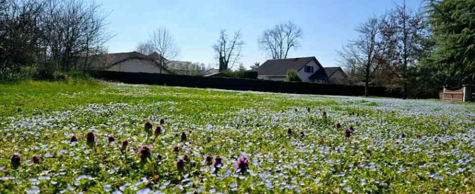 Terrain à HAUTEVILLE-SUR-FIER