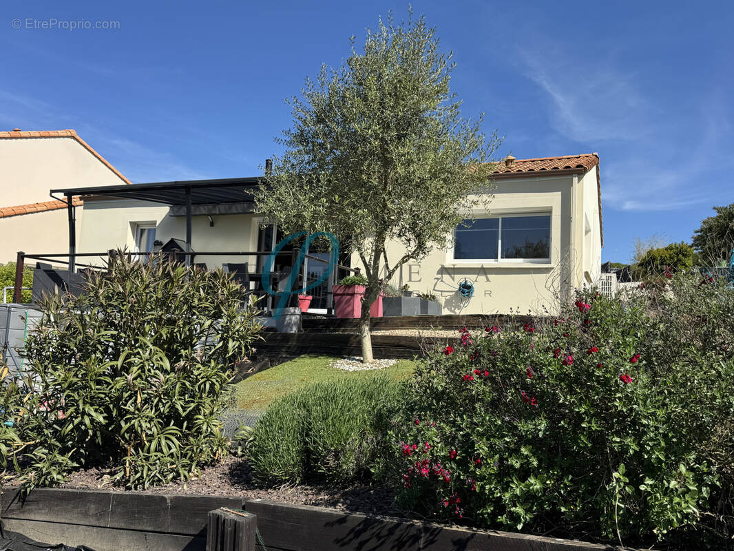 Maison à DRAIN