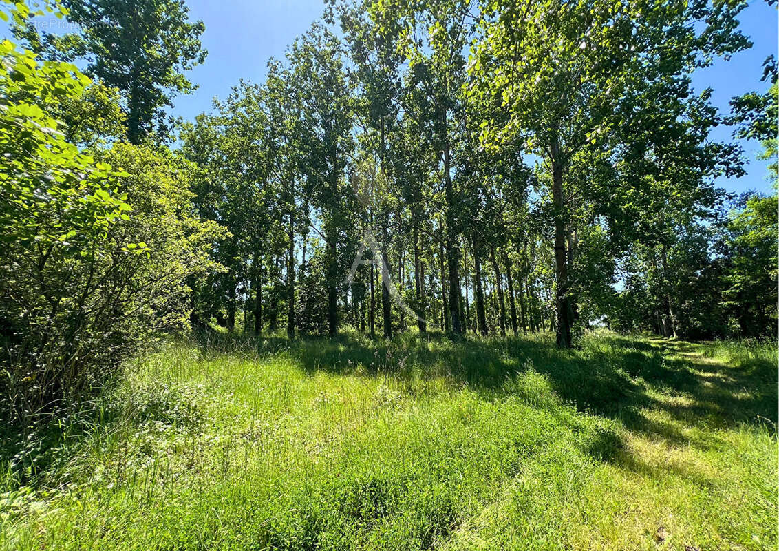 Ensemble immobilier sur un parc de 6 hectares ! - photo 4