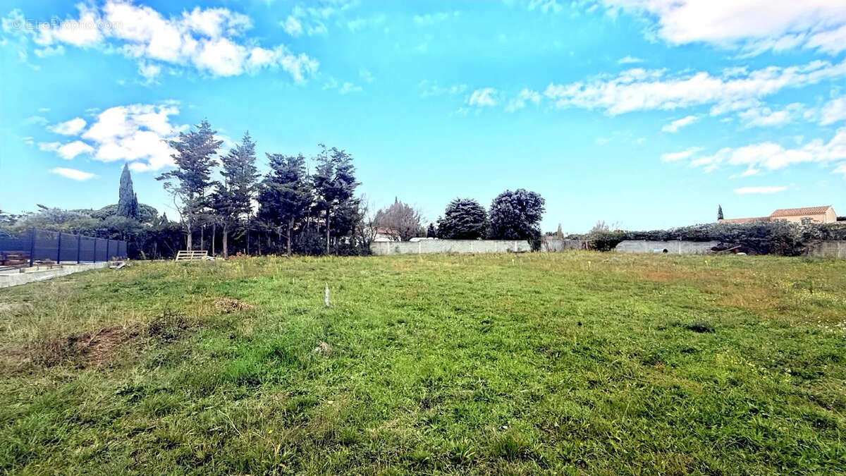 Terrain à CARCASSONNE