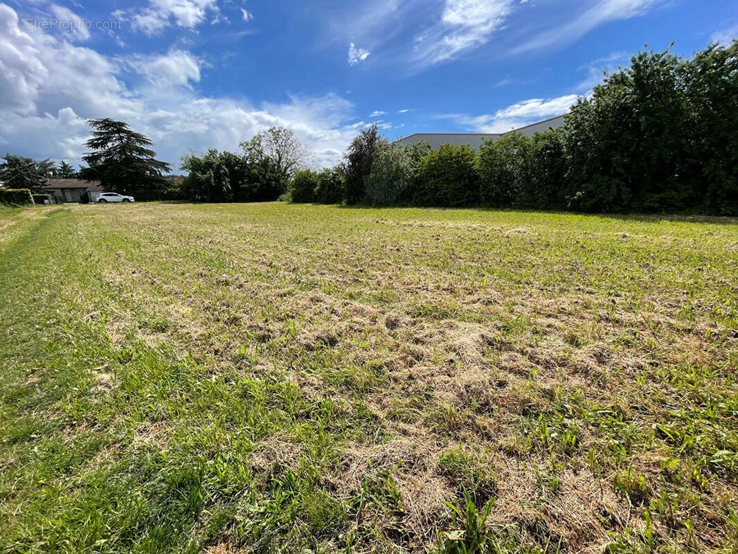 Terrain à SAINTE-LIVRADE-SUR-LOT