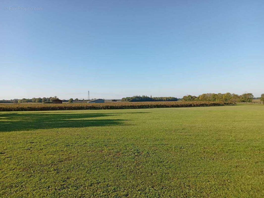 Maison à MACQUEVILLE