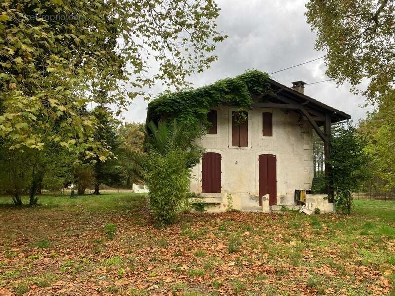 Maison à LE TEICH