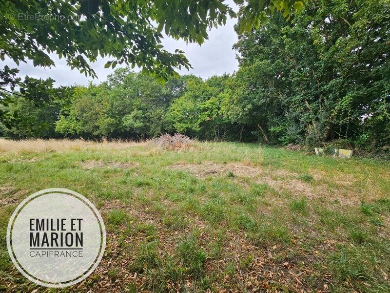 Terrain à GENOUILLE