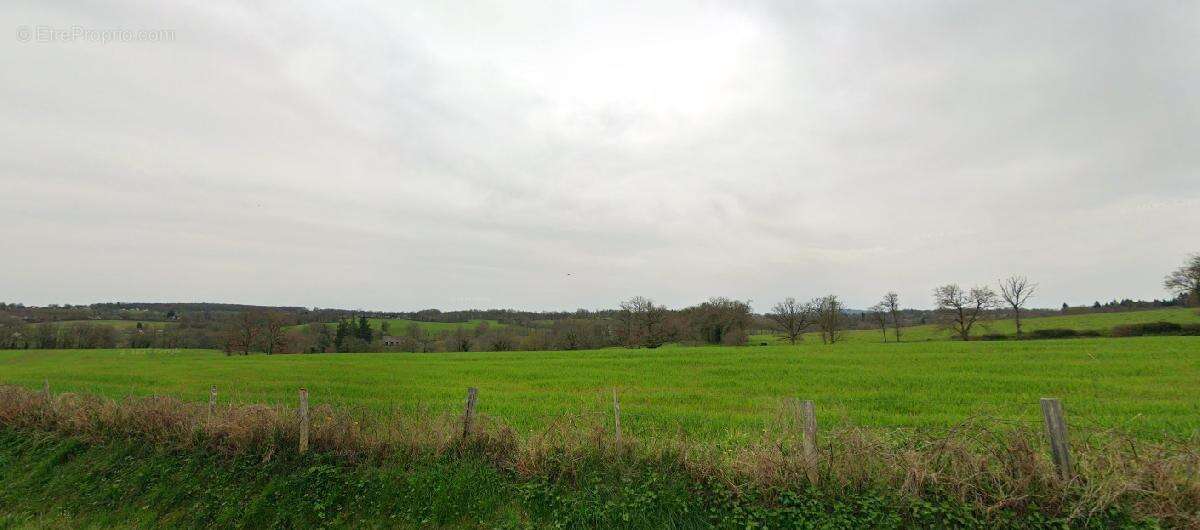 Terrain à SAINT-MARTIN-LE-VIEUX