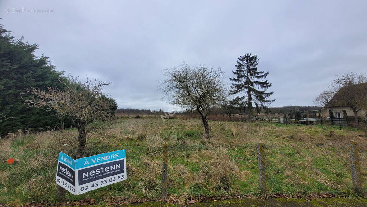 Terrain à NEUVILLE-SUR-SARTHE