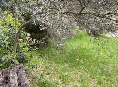 A vendre  proche commodités  peyruis terrain de 1285 m2 baisse de prix - photo 7