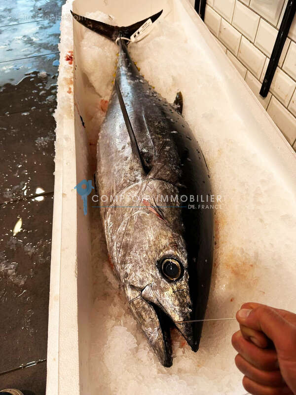 Rare opportunité   Fonds de commerce de poissonnerie historique au Grau-du-Roi - photo 5