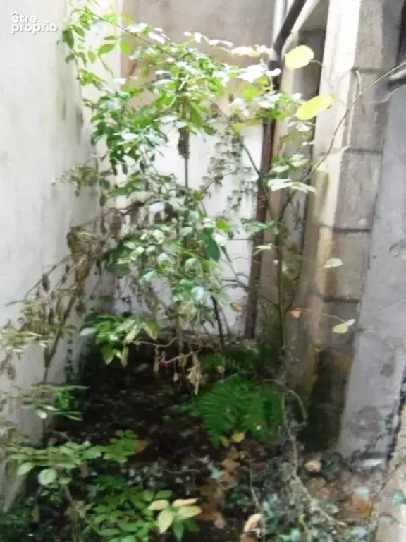 Maison avec garage et courette coeur village tous commerces 37 000 € - photo 16