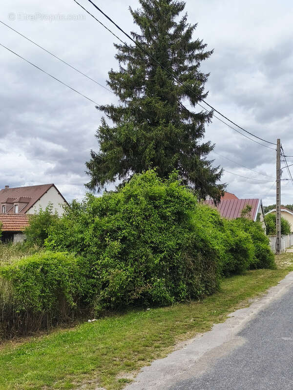 Terrain à MAIZIERES-LA-GRANDE-PAROISSE