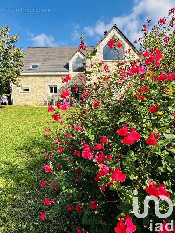 Photo 3 - Maison à TIERCE