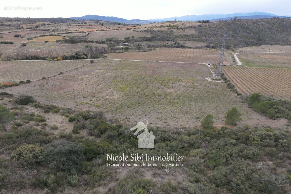 Terrain à TAUTAVEL