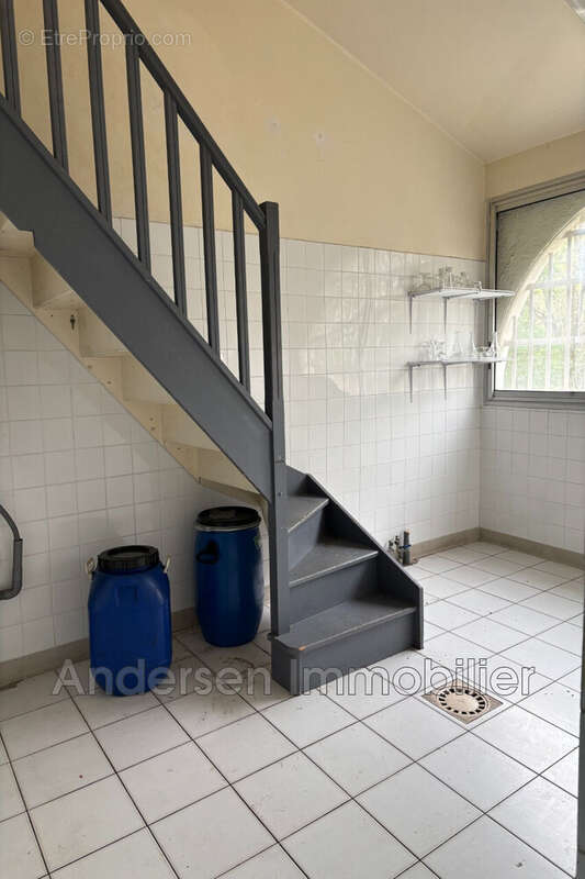 Commerce à ARGELES-SUR-MER