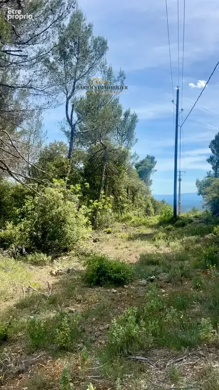 cabanon  1 hectare avec edf - photo 13