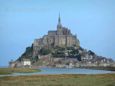 Terrain 450 m2 saint-broladre borne et viabilise - photo 2
