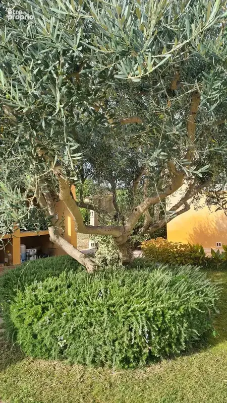 Maison 154 m² à Nizas  - photo 5