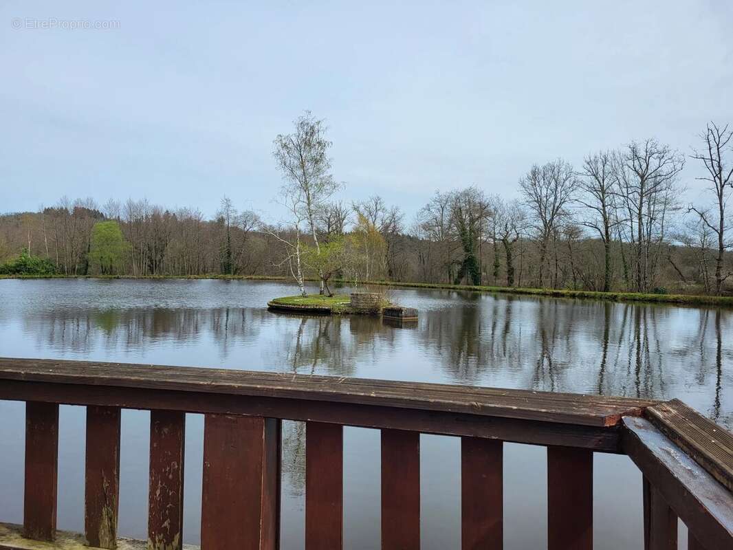 Maison idyllique au bord d'un lac avec gîtes - Haute Vienne - photo 5