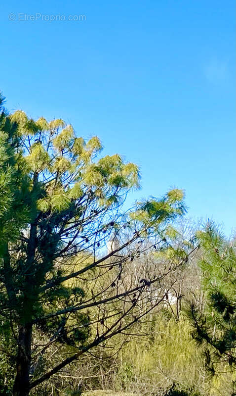 Maison à SAINT-PALAIS-SUR-MER