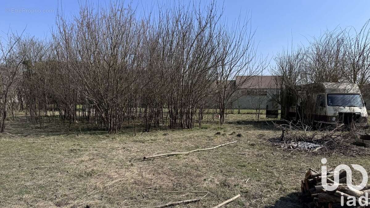 Photo 3 - Terrain à MAIZIERES-LA-GRANDE-PAROISSE