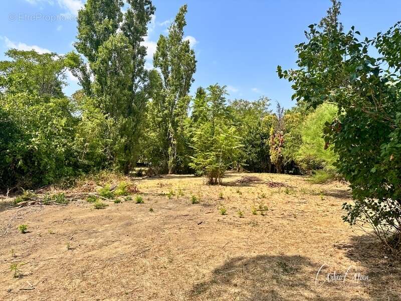 Terrain constructible de 1 700m² viabilisé avec vue sur les Pyrénées - photo 4