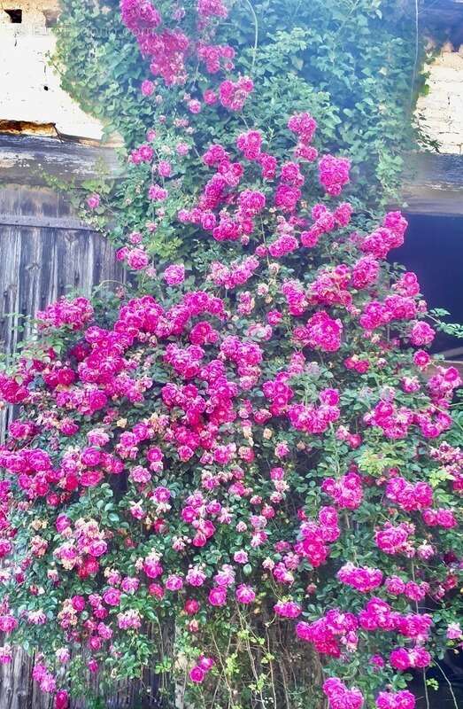 Maison à LA FOYE-MONJAULT