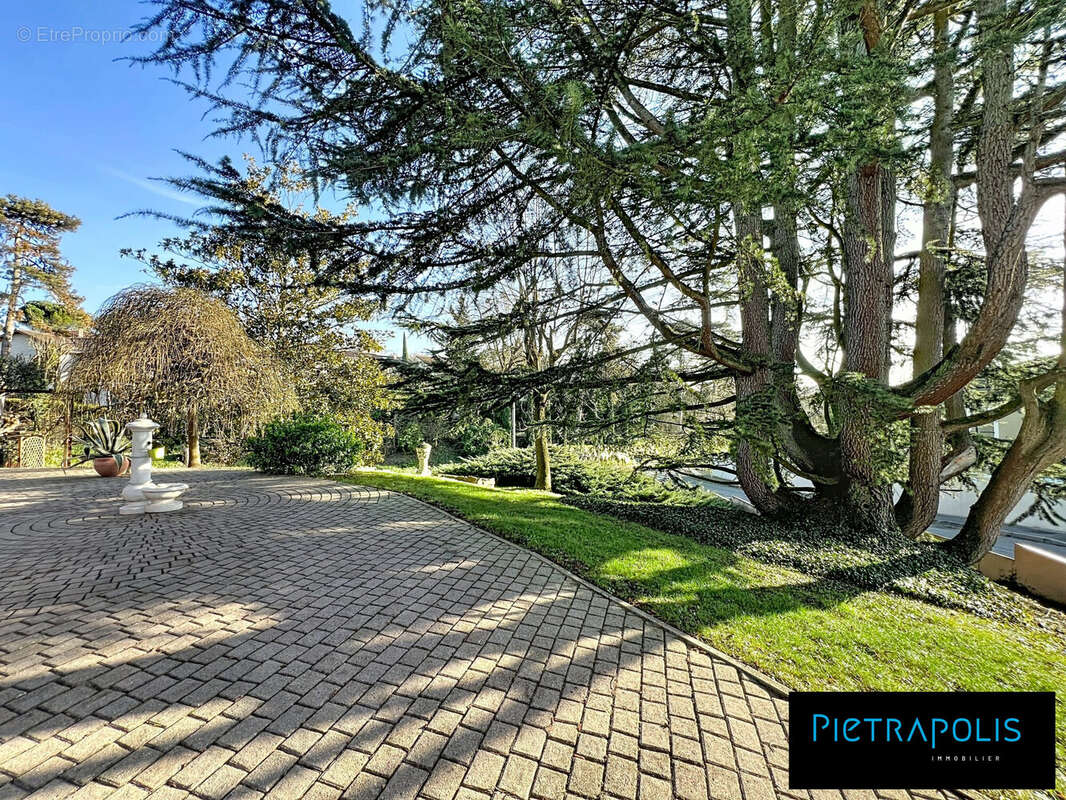 Maison à NEUVILLE-SUR-SAONE