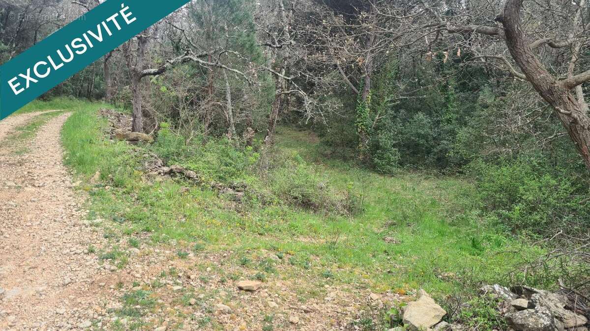 Photo 2 - Terrain à BESSE-SUR-ISSOLE