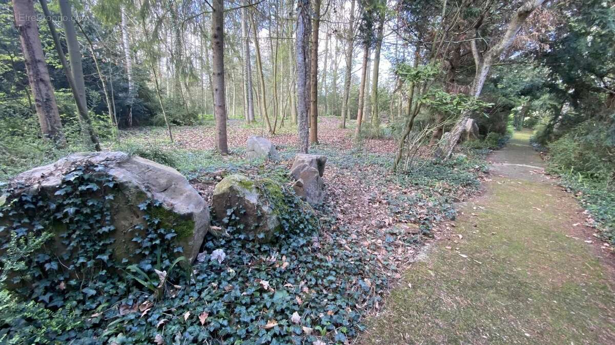 Terrain à MEZIERES-SUR-OISE