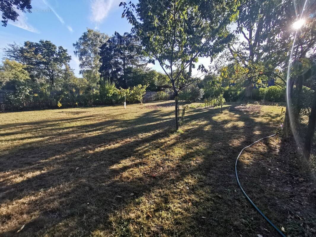 Terrain à SAMOIS-SUR-SEINE