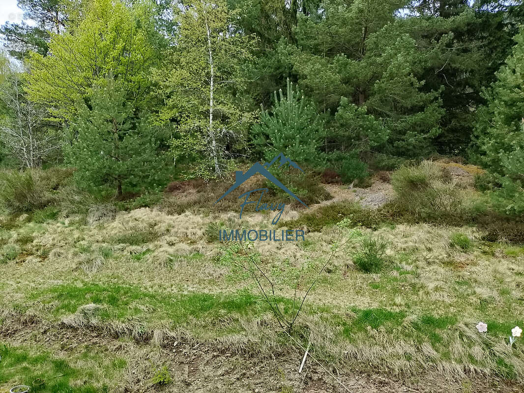 Appartement à GERARDMER