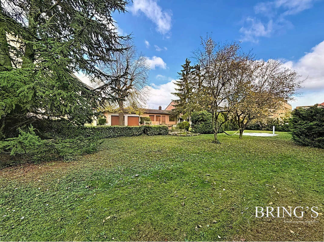 Terrain à HERRLISHEIM-PRES-COLMAR