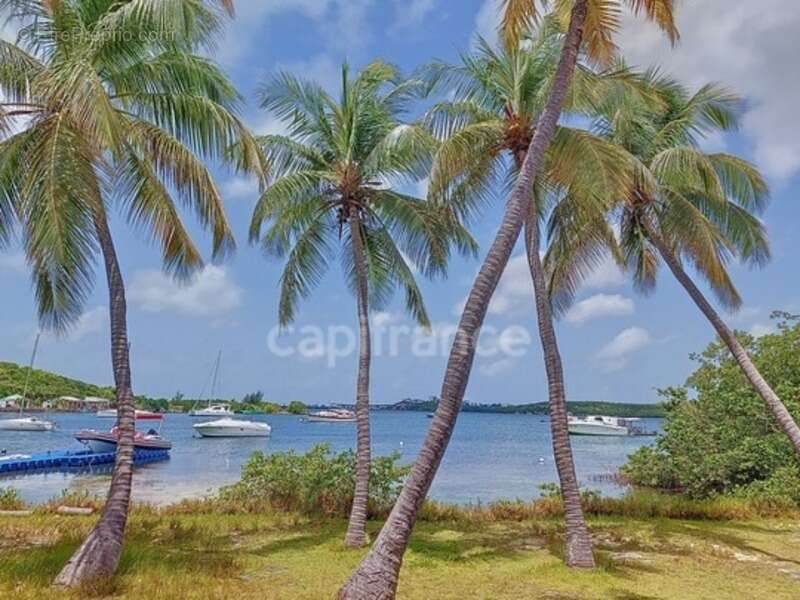 Appartement à SAINT-MARTIN
