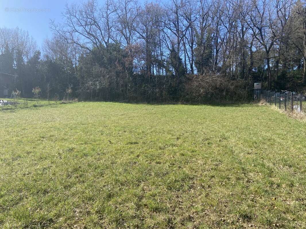 Terrain à MARSSAC-SUR-TARN