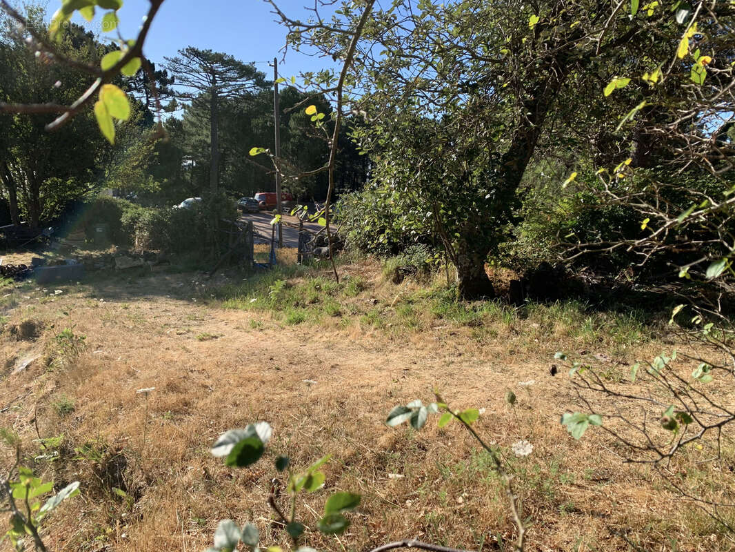 Terrain à bâtir à Cartalavone, commune de Porto-Vecchio - photo 3