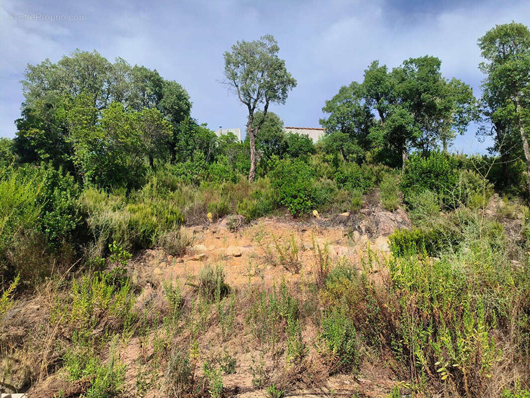 Terrain à TAVACO
