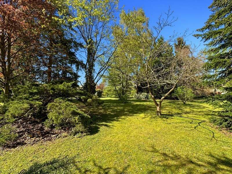 FONTAINEBLEAU SUD à 25mn, Longère de 220 m2 - Parc arboré de 6 332 m2 - photo 23