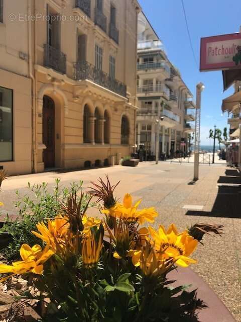 Commerce à SAINT-RAPHAEL