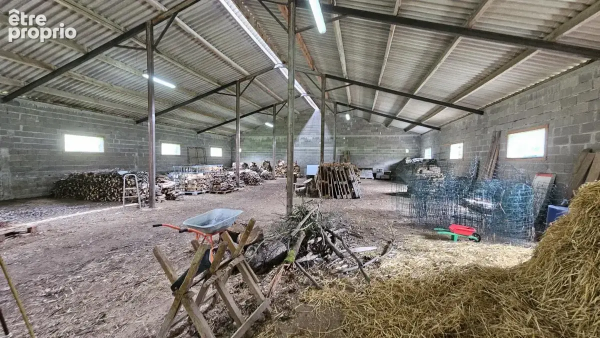 Propriété avec sous-sol total, hangar et plus de 2 hectares - photo 15