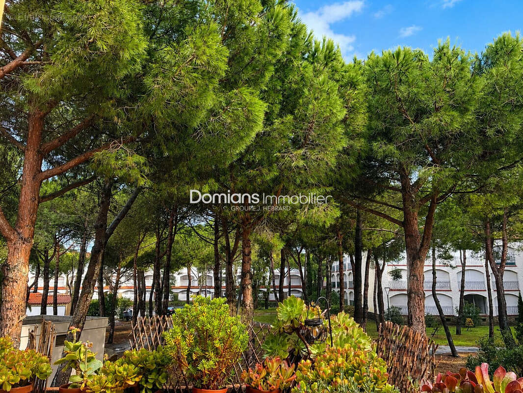Appartement 25 m² à Argeles-Sur-Mer  - photo 6