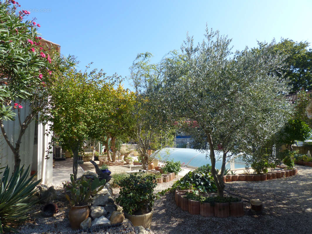 Maison à SAINT-PAUL-TROIS-CHATEAUX