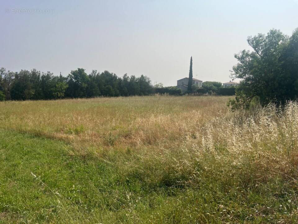 Terrain à ALLEINS