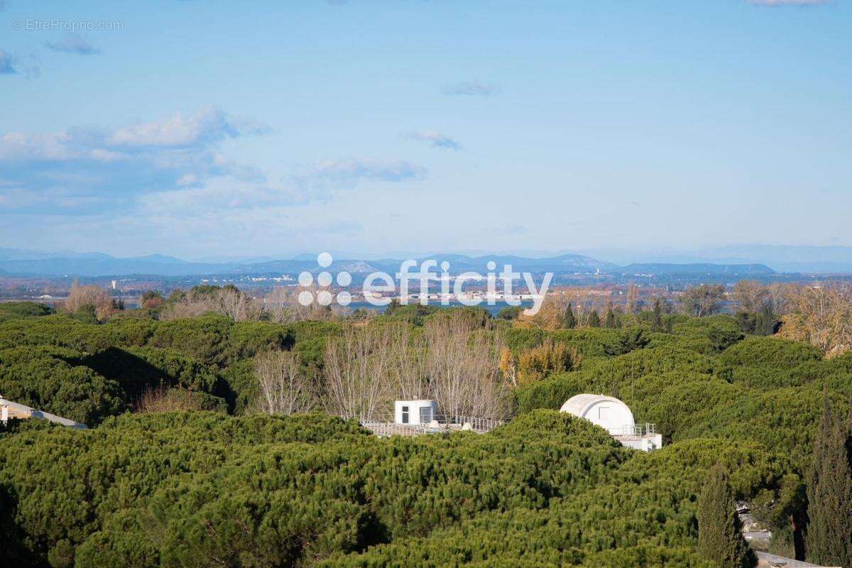 Appartement à LA GRANDE-MOTTE