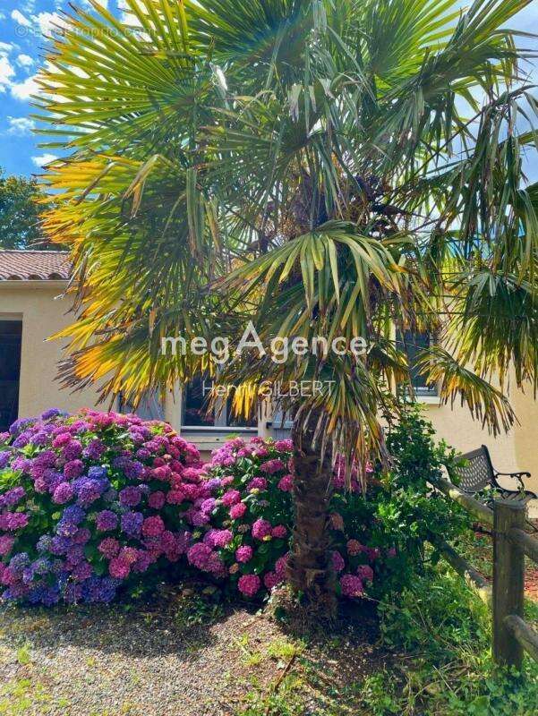 Maison à LE TABLIER