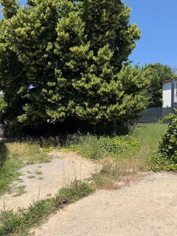 Terrain 343 m² à Gardanne  - photo 5