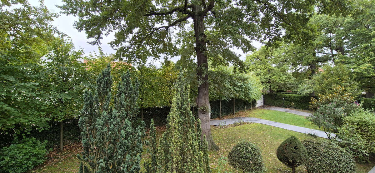 Maison à LE VESINET