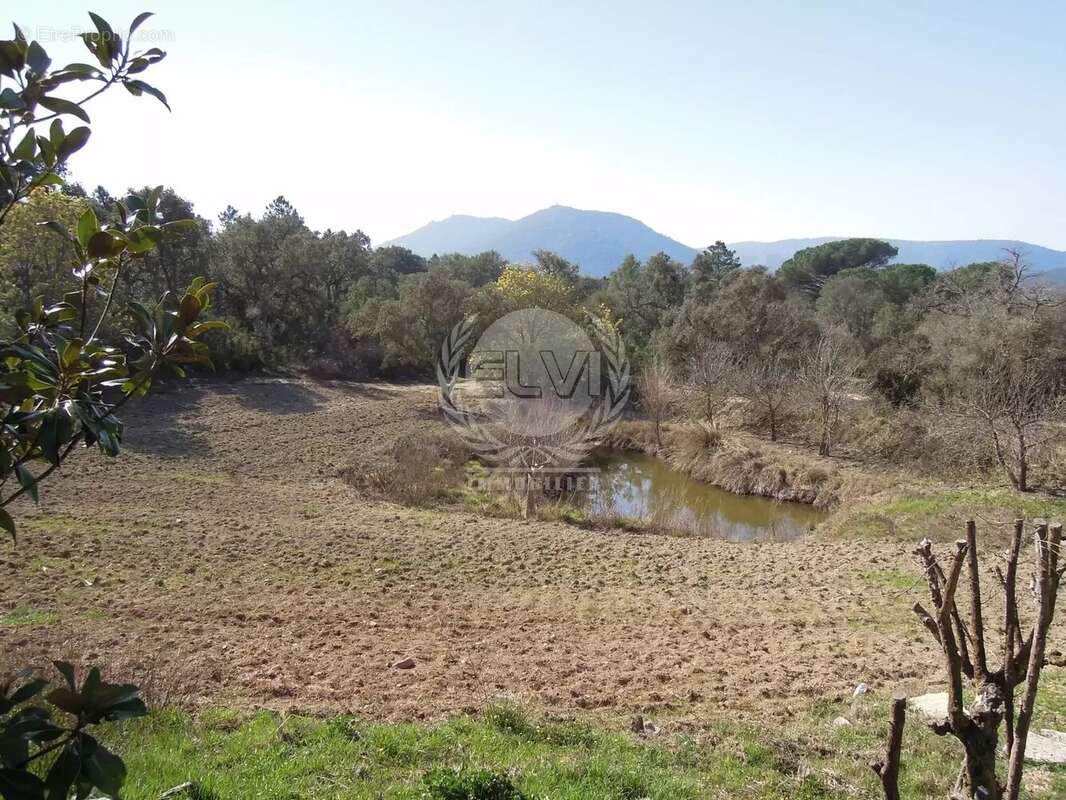 Maison à PLAN-DE-LA-TOUR