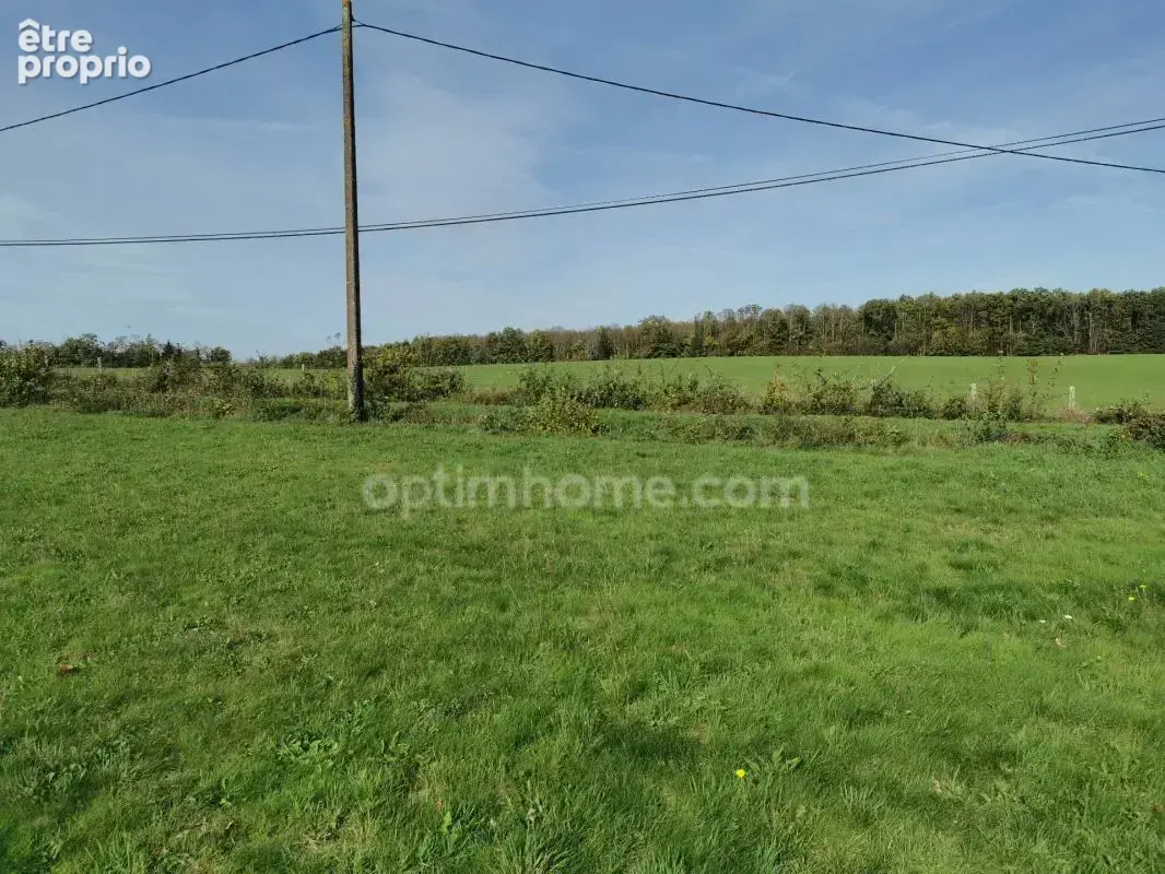 Terrain 2379m² - proche saint-junien - environnement calme et campagne - photo 5