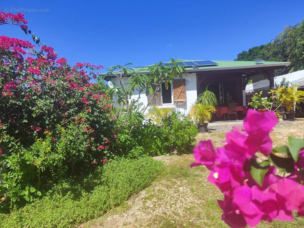 Maison à ANSE-BERTRAND