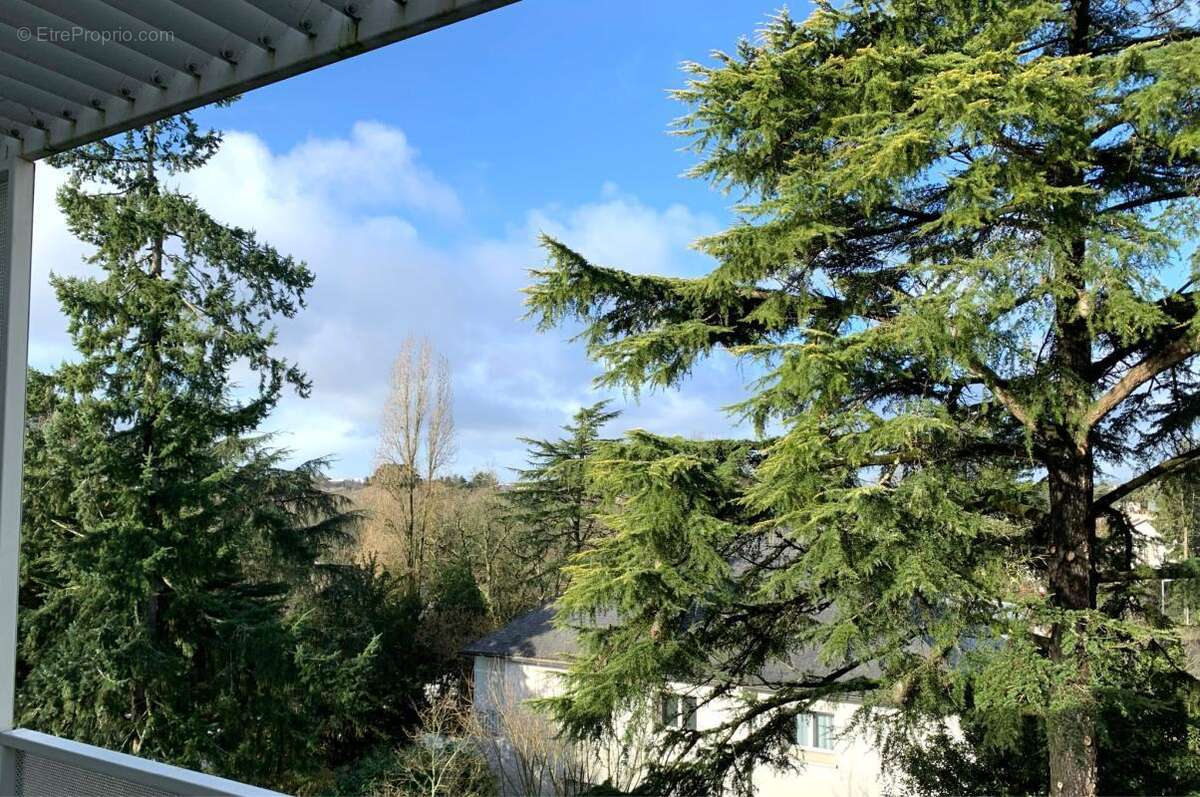 Appartement duplex T3 de 74 m2 avec terrasse de 31 m2 et bal - photo 15