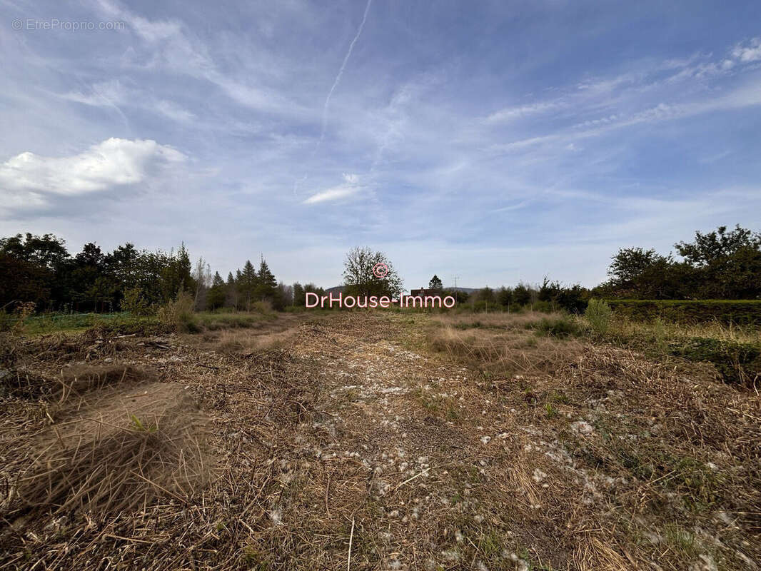 Terrain à PRESEAU